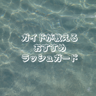 販売済み ハブクラゲ ラッシュ ガード