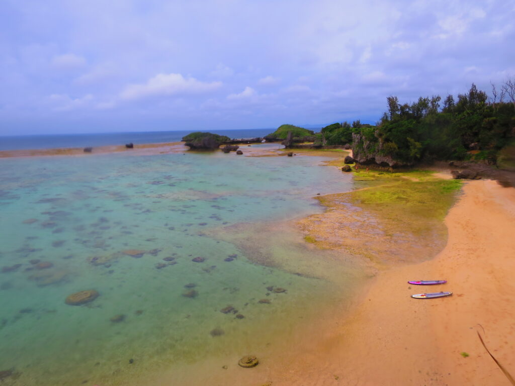 沖縄本島 ウミガメ ビーチ