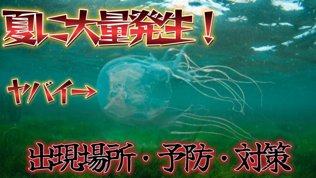 沖縄でハブクラゲ大量発生！！！肌の露出を抑えることで被害を最小限に防げる？命を守るオシャレラッシュガード！！