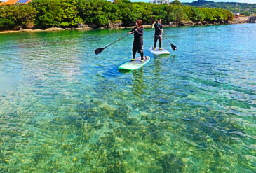 沖縄南部で体験できるサップ体験ツアー！夏も終わりに差し掛かり、海の透明度はどんどん良くなってきています😆✨