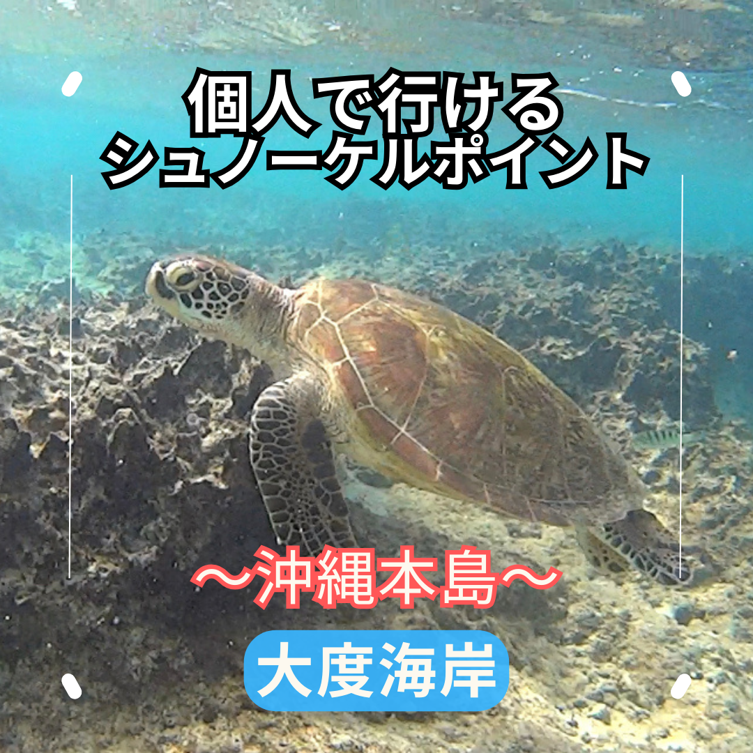 沖縄の個人で行けるおすすめシュノーケルポイント！ウミガメにも会えるかも？