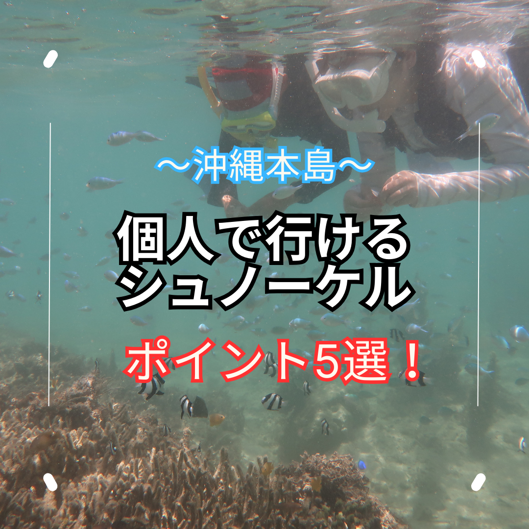 個人で行ける？沖縄本島のおすすめシュノーケルポイント5選！ウミガメに会えるかも？