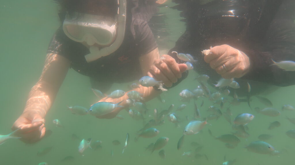 沖縄サップシュノーケル