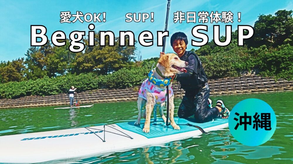 沖縄】愛犬と楽しめるガイド貸切制のSUPツアー！ - 沖縄SUP(サップ 