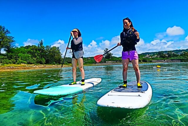Focus SUP サップサーフィンボード 7‘10” Soft Surfboard 7'0 - Focus SUP Hawaii