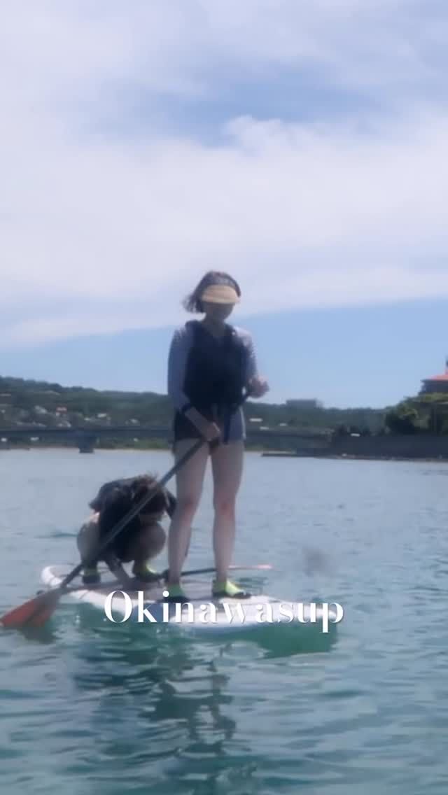 スポーツ sup 9ft DAIAMONDHEADソフトSUPレビュー！9ft、9'10ft初心者でも楽しめる